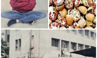 Kutch : સોપારી તોડકાંડ પૂર્ણતા ભણી, ભાણુભા સોઢા પણ જેલ મુક્ત, લુધિયાણા DRIએ જેની જામીન રદ્દ કરવા હાઇકોર્ટમાં અપીલ કરી છે તે સ્મગલર પંકજ ઠક્કરની જામીન અંગેનો આજે ફેંસલો