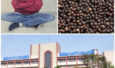 સોપારી કાંડના માસ્ટર માઈન્ડ પંકજ ઠક્કરની પેઢીનું કસ્ટમ બ્રોકરનું લાયસન્સ રદ્દ , દુબઈથી કાળા મરી ઈમ્પોર્ટ કરી કરોડોની ડ્યુટી ચોરી કરેલી