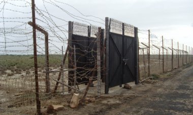 Kutch  Border  Breaking Pakistani Nab : ગુજરાતના દરિયા કિનારેથી ડ્રગ્સ મળવાની ઘટનાઓ વચ્ચે કચ્છની રણ સીમાએથી પાકિસ્તાની અફઝલને BSF એ ફેન્સીંગ ક્રોસ કરીને ભારતમાં ઘુસતા ઝડપ્યો