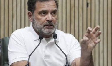 Rahul Gandhi in Gujarat : 'કોંગ્રેસમાં રહીને ભાજપ માટે કામ કરતા લગ્નના ઘોડાઓને બહાર કાઢીશું' ગુજરાતના નેતાઓને અરીસો બતાવતા રાહુલ ગાંધી